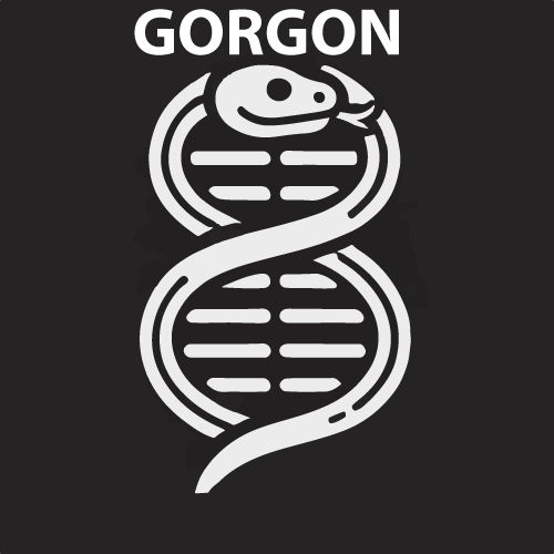 GORGON Image